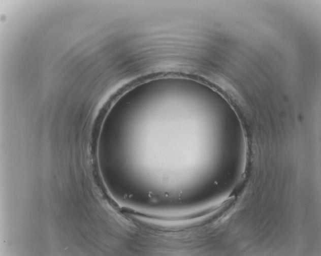 X0000073760880200608102043