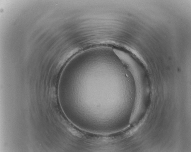 X0000073760881200608102043