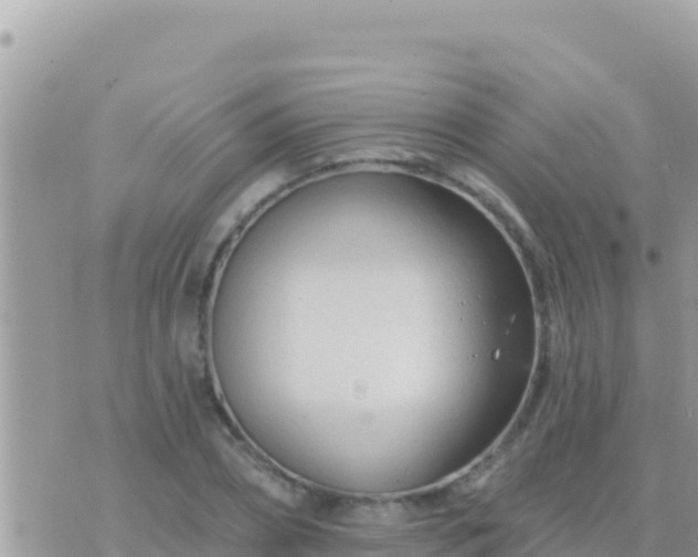 X0000073760882200608102043