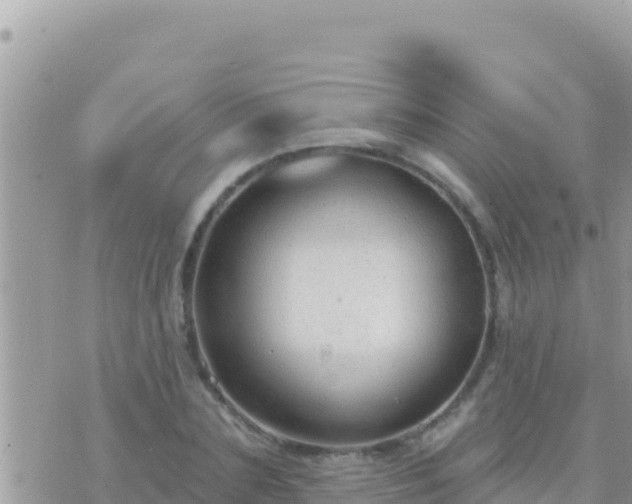 X0000073760883200608102043