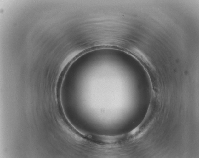 X0000073760884200608102043