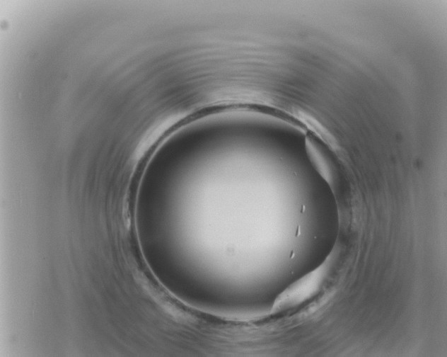 X0000073760885200608102043