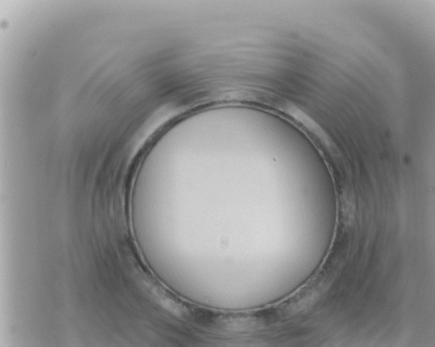 X0000073760886200608102043