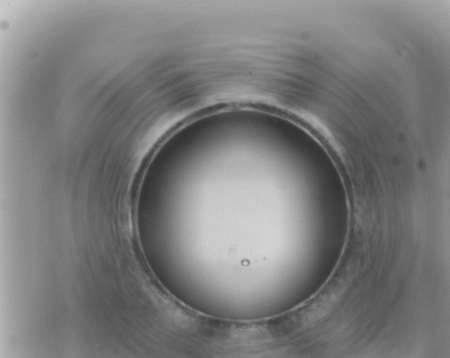 X0000073760887200608102043