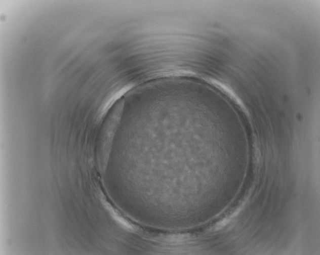 X0000073760889200608102043