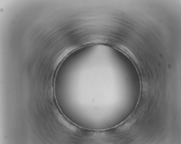 X0000073760890200608102043