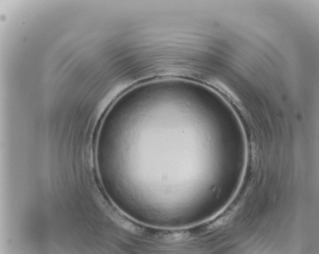 X0000073760891200608102043