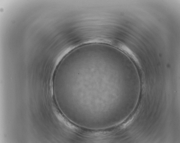 X0000073760892200608102043