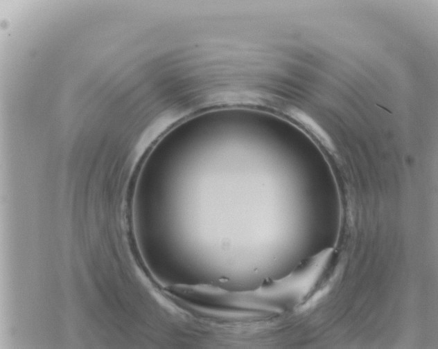 X0000073760893200608102043