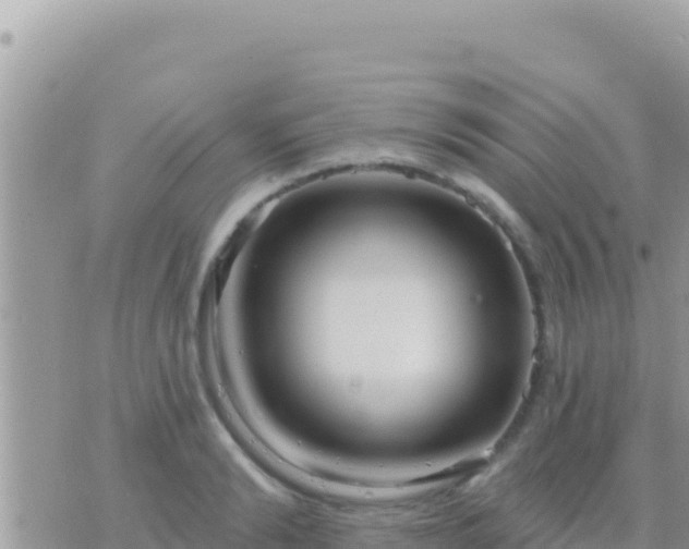 X0000073760894200608102043