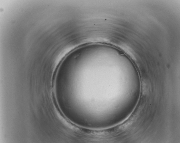 X0000073760895200608102043