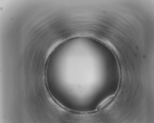 X0000073760896200608102043