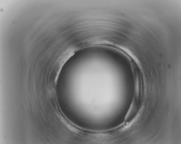 X0000073760897200608102043