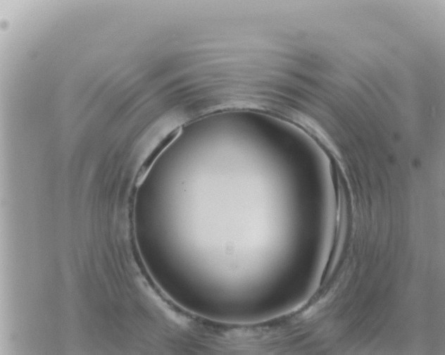 X0000073760898200608102043