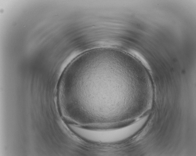 X0000073760899200608102043