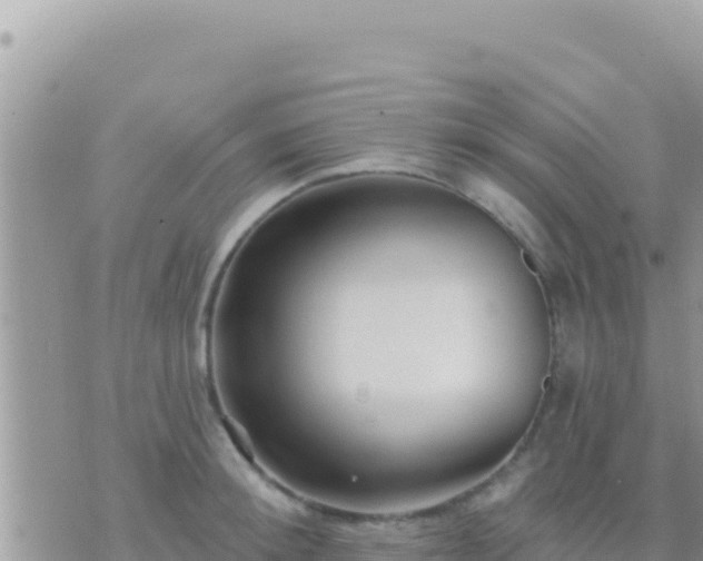 X0000073760900200608102042