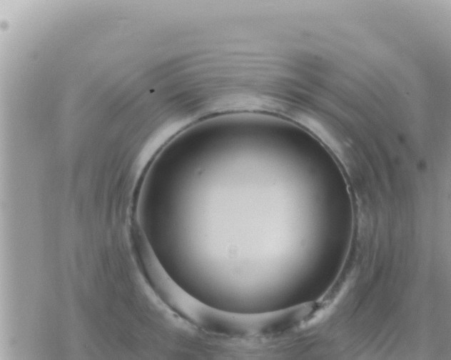 X0000073760901200608102042