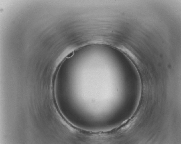 X0000073760902200608102042