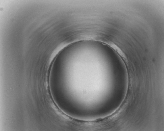 X0000073760904200608102042