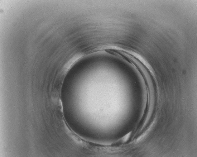 X0000073760905200608102042