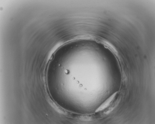 X0000073760907200608102042