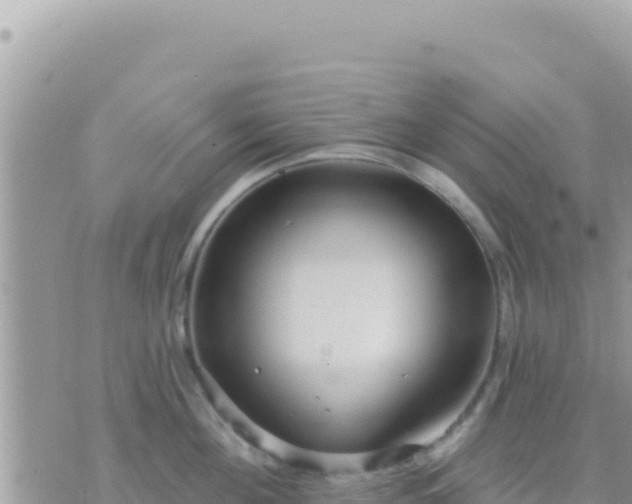 X0000073760908200608102042