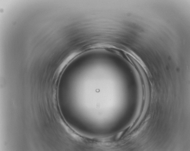 X0000073760909200608102042