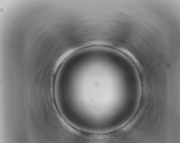 X0000073760910200608102042