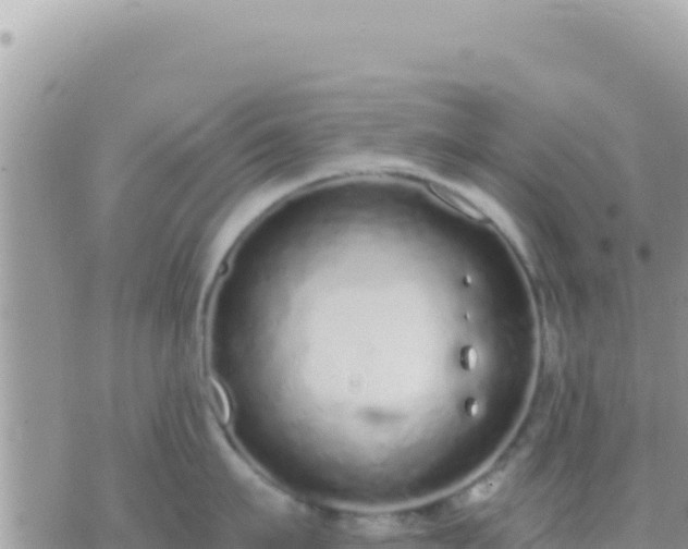 X0000073760911200608102042