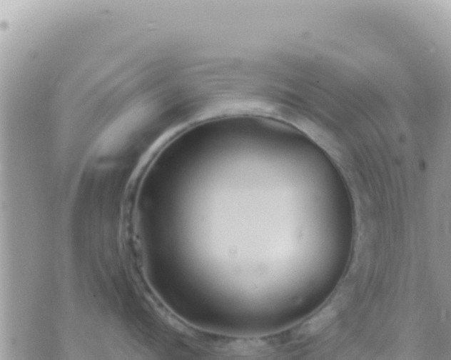 X0000073760912200608102042