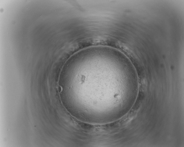 X0000073760913200608102042