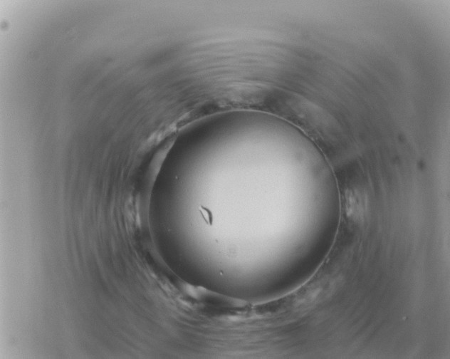 X0000073760915200608102042