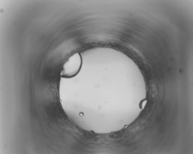 X0000073760918200608102042