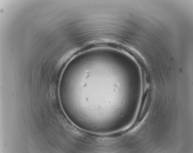 X0000073760921200608102042