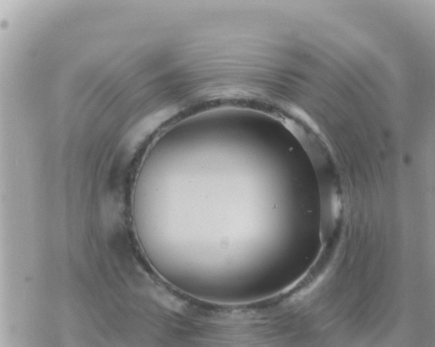 X0000073760922200608102042