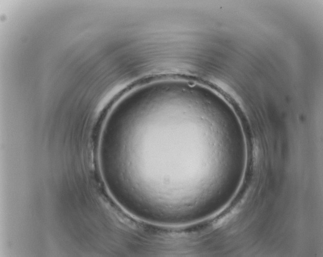 X0000073760925200608102042