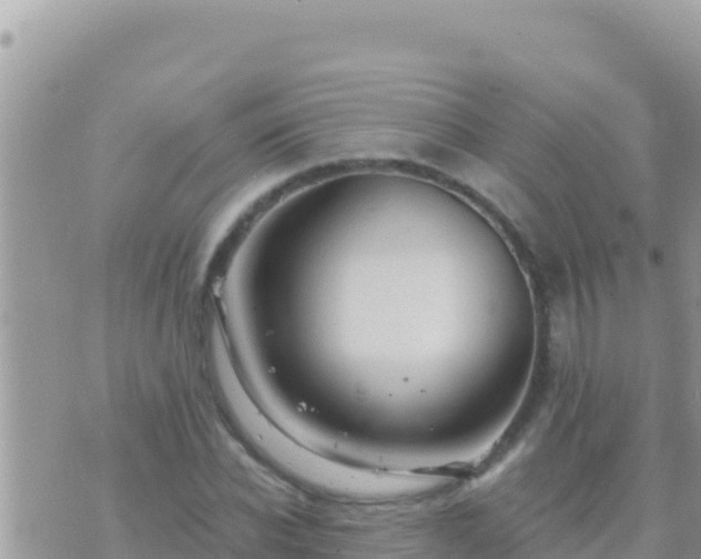 X0000073760926200608102042