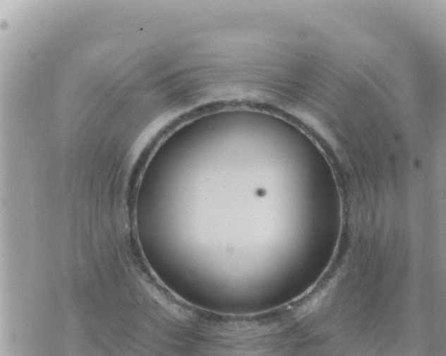 X0000073760927200608102042