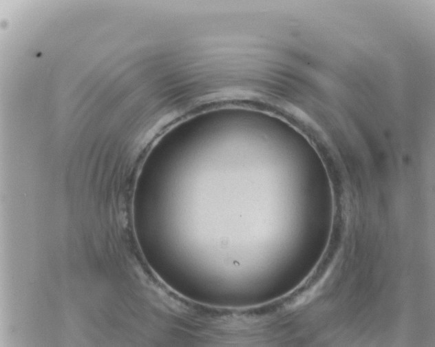 X0000073760929200608102042