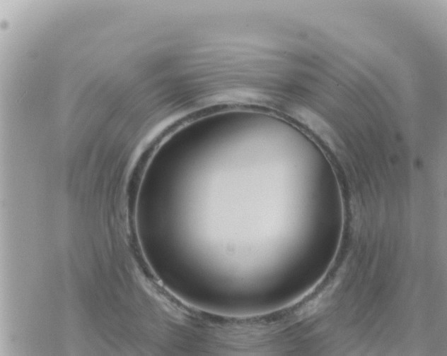 X0000073760931200608102042