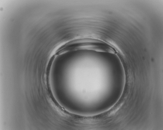 X0000073760932200608102042