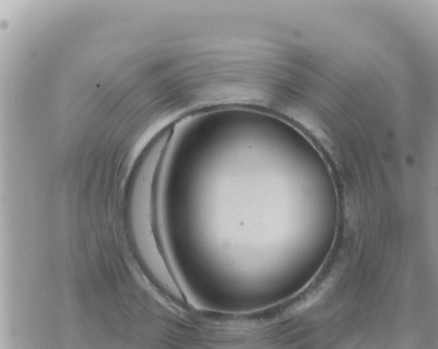 X0000073760933200608102042