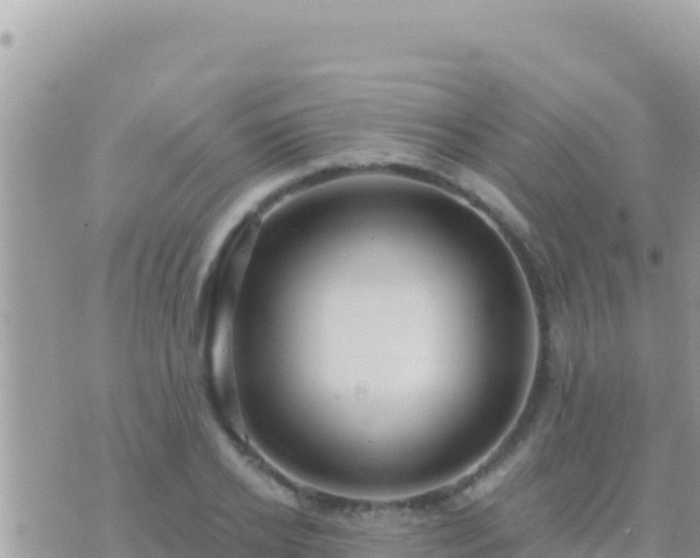 X0000073760934200608102042