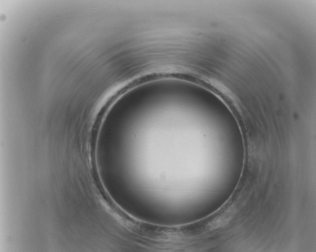 X0000073760935200608102042