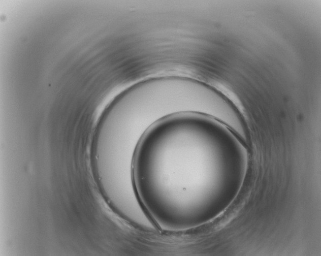 X0000073760936200608102042