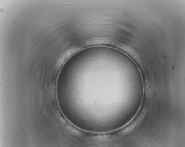 X0000073760937200608102042