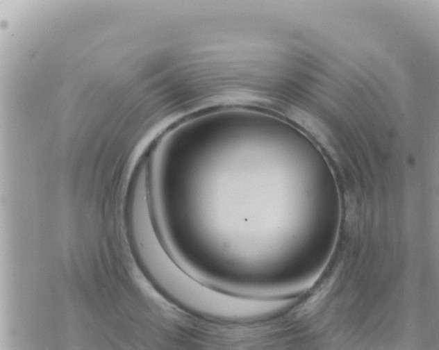 X0000073760939200608102042