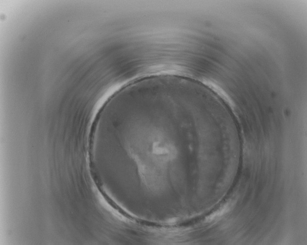 X0000073760941200608102042