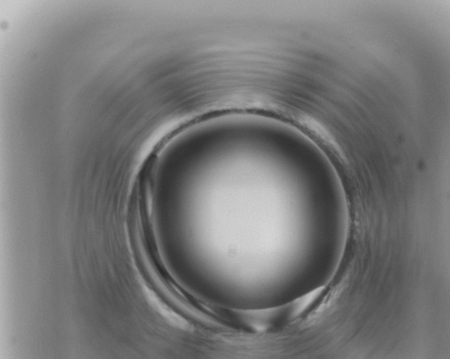 X0000073760942200608102042