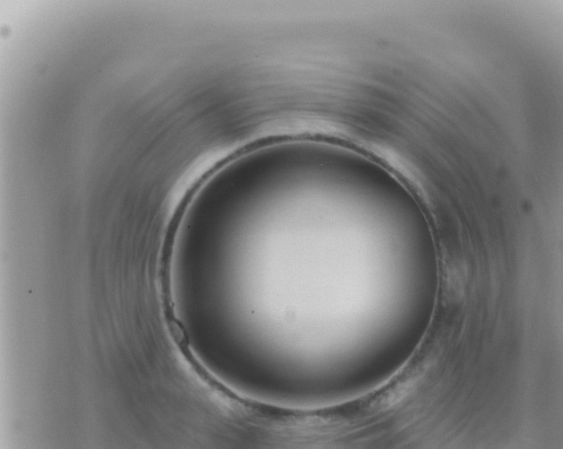 X0000073760943200608102042